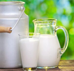 A pitcher and two glasses of milk on a table.