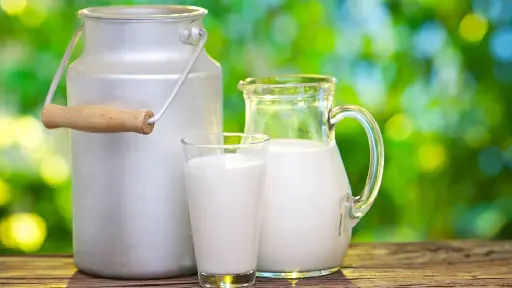 A pitcher and two glasses of milk on a table.